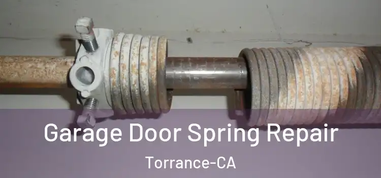  Garage Door Spring Repair Torrance-CA